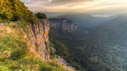 Phyto 5 Les cosmétiques fabriqués au cœur des montagnes jurassiennes